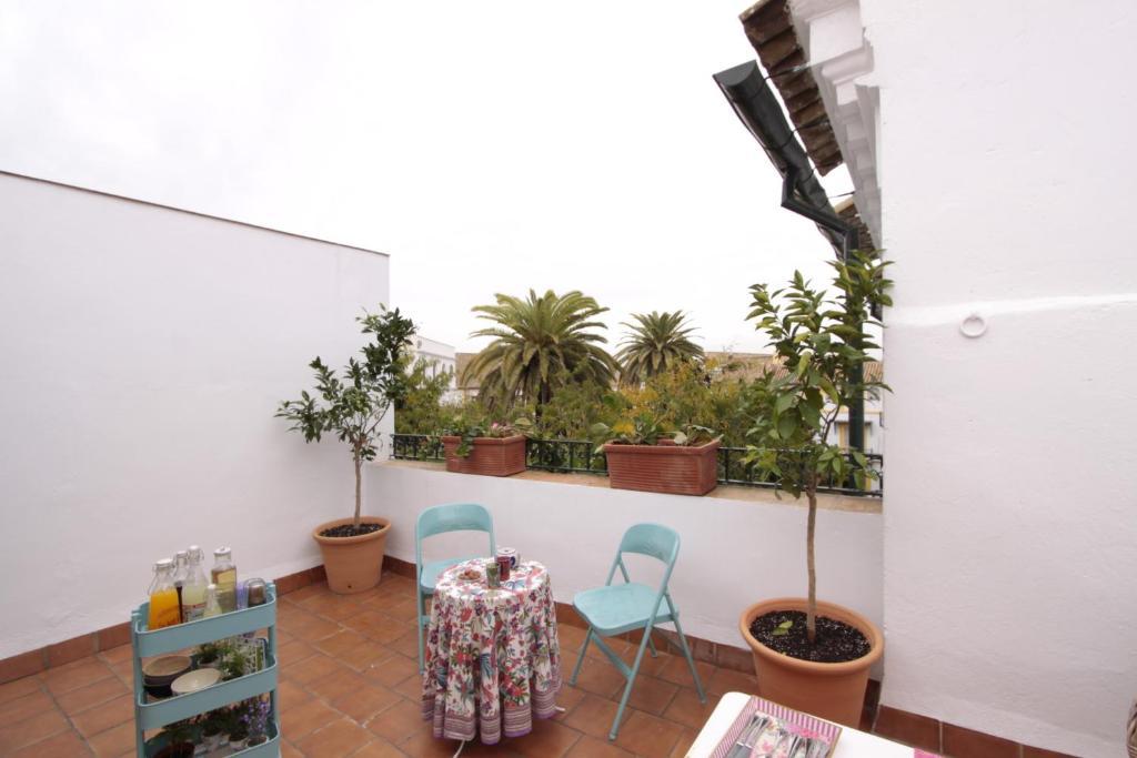 Apartamentos Plaza Pilatos Sevilla Dış mekan fotoğraf